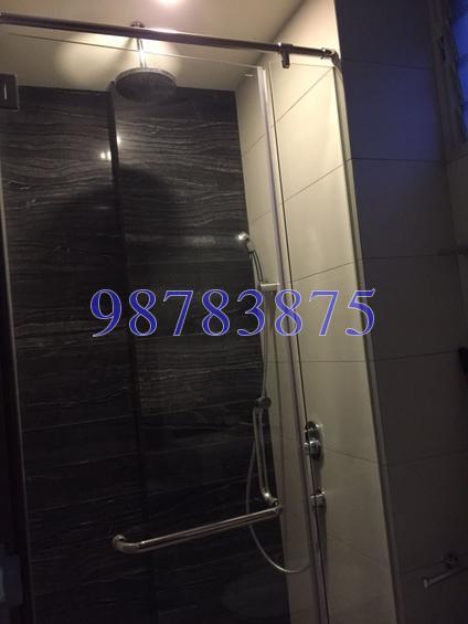 Whitehaven (D5), Apartment #166807222